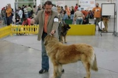 035_mvp_bratislava-2