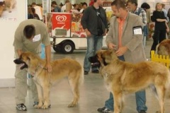 035_mvp_bratislava-3