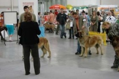 035_mvp_bratislava-6