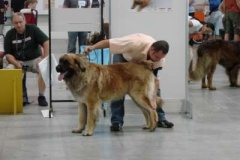036_mvp_bratislava-2