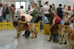 036_mvp_bratislava-3