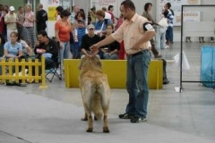 036_mvp_bratislava-4