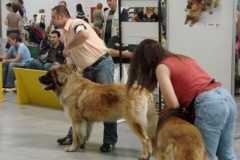 036_mvp_bratislava-5