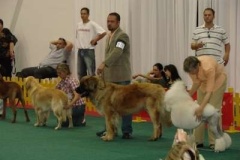 036_mvp_bratislava-6