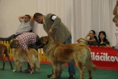 036_mvp_bratislava-7
