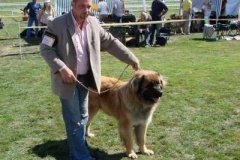037_mvp_mlada_boleslav-1