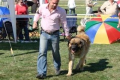 037_mvp_mlada_boleslav-12