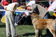 037_mvp_mlada_boleslav-13