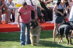 037_mvp_mlada_boleslav-14