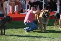 037_mvp_mlada_boleslav-17