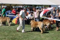 037_mvp_mlada_boleslav-3