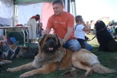 037_mvp_mlada_boleslav-4