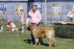 037_mvp_mlada_boleslav-6