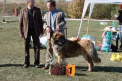 038_specialni_vystava_spojena_s_kv_praha_uhrineves-11