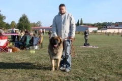 038_specialni_vystava_spojena_s_kv_praha_uhrineves-12