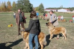 038_specialni_vystava_spojena_s_kv_praha_uhrineves-8