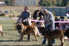 038_specialni_vystava_spojena_s_kv_praha_uhrineves-9