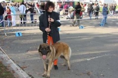 039_nvp_brno-1