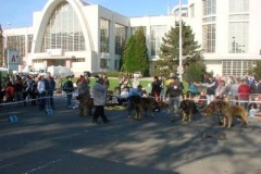 039_nvp_brno-10
