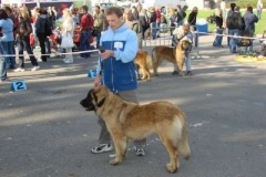 039_nvp_brno-11