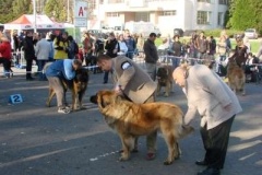 039_nvp_brno-12
