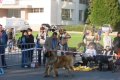 039_nvp_brno-13