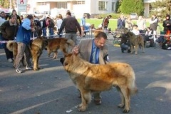 039_nvp_brno-14