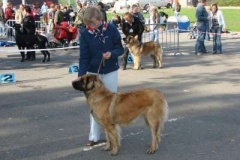 039_nvp_brno-15