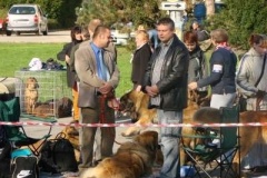 039_nvp_brno-16