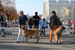 039_nvp_brno-17