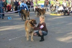 039_nvp_brno-18