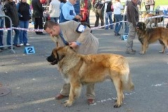039_nvp_brno-19