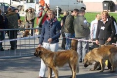 039_nvp_brno-2