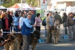 039_nvp_brno-20