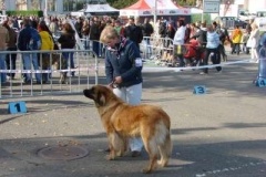 039_nvp_brno-21