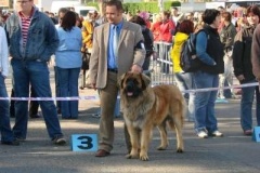 039_nvp_brno-3