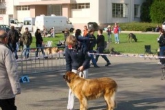 039_nvp_brno-4