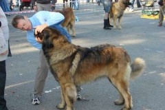 039_nvp_brno-5