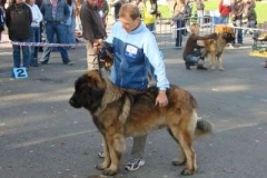039_nvp_brno-7