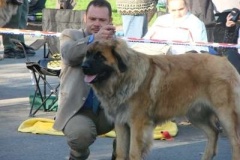 039_nvp_brno-8