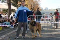 039_nvp_brno-9
