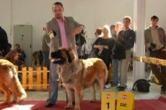 040_mvp_nitra-1