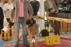 040_mvp_nitra-2