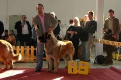 040_mvp_nitra-3