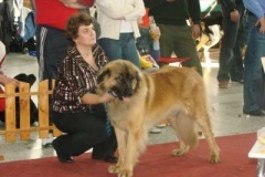 040_mvp_nitra-5