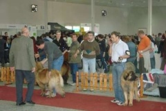 040_mvp_nitra-7