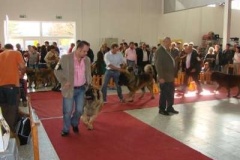 040_mvp_nitra-9