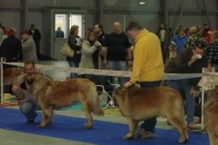 041_mvp_praha_letnany-2