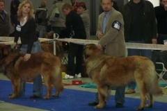 041_mvp_praha_letnany-3