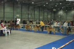 041_mvp_praha_letnany-4